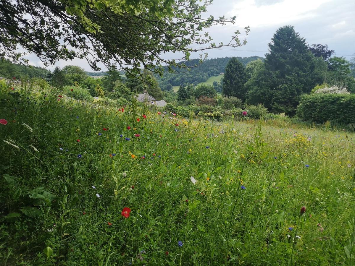 1 Bed Studio In Two Dales Near Matlock & Bakewell Eksteriør billede